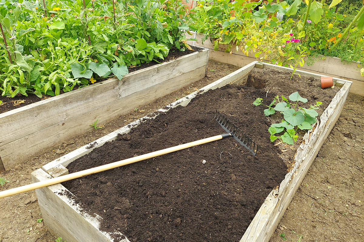 A raised garden bed with a rake laying on top of it.